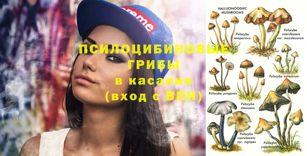 шишки Куйбышев