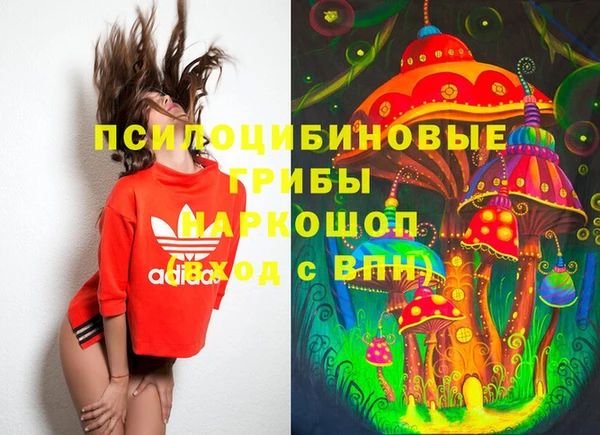 амф Краснотурьинск