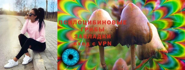 COCAINE Краснослободск