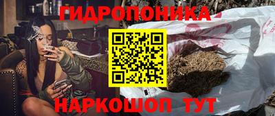 гидра Волжск