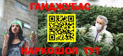 мяу мяу мука Гай