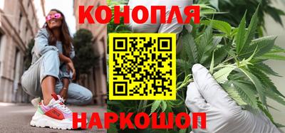 jwh Гатчина