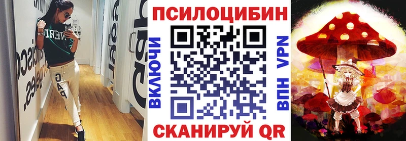 блэк спрут ССЫЛКА  Иркутск  Галлюциногенные грибы мицелий  купить  