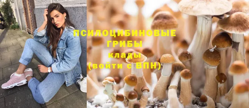 Галлюциногенные грибы Psilocybe  Иркутск 