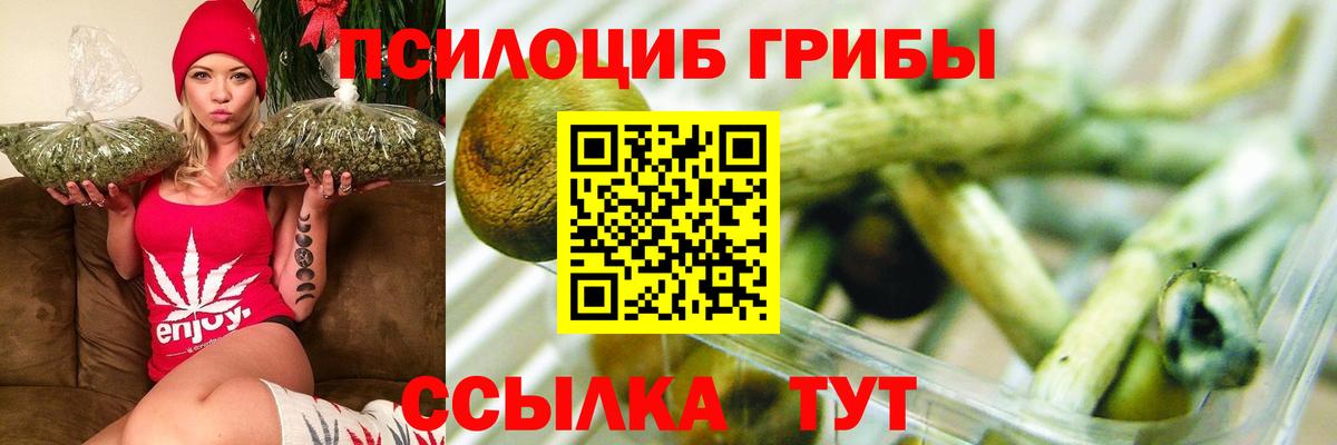 Иркутск  Псилоцибиновые грибы мухоморы  Вход с VPN 